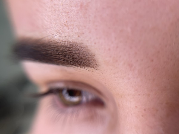 Powder brows photo 21